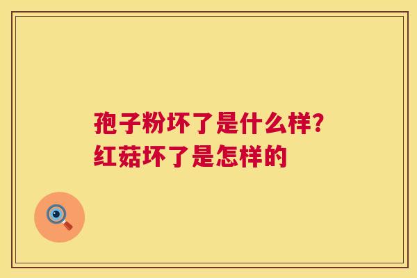 孢子粉坏了是什么样?红菇坏了是怎样的 第1张 孢子粉坏了是什么样?红菇坏了是怎样的 第1张