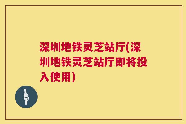深圳地铁灵芝站厅(深圳地铁灵芝站厅即将投入使用) 第1张 深圳地铁灵芝站厅(深圳地铁灵芝站厅即将投入使用) 第1张