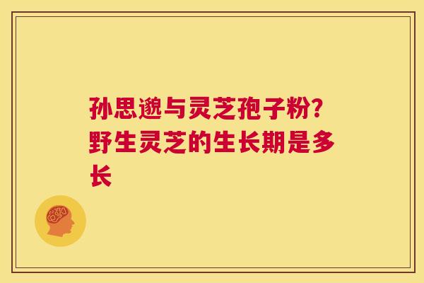 孙思邈与灵芝孢子粉?野生灵芝的生长期是多长 第1张 孙思邈与灵芝孢子粉?野生灵芝的生长期是多长 第1张