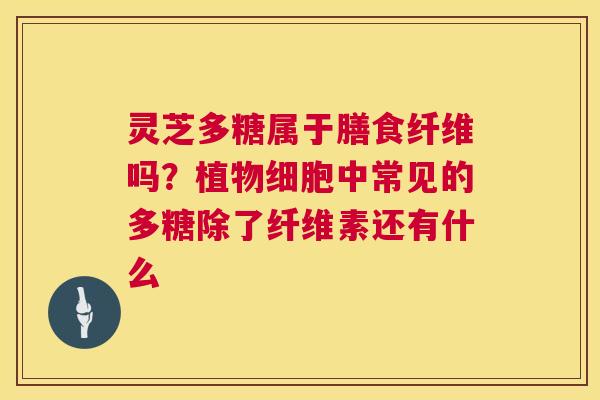 灵芝多糖属于膳食纤维吗?植物细胞中常见的多糖除了纤维素还有什么 第1张 灵芝多糖属于膳食纤维吗?植物细胞中常见的多糖除了纤维素还有什么 第1张