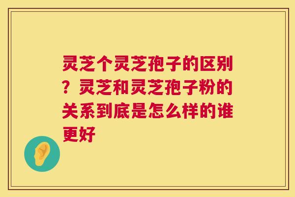 灵芝个灵芝孢子的区别?灵芝和灵芝孢子粉的关系到底是怎么样的谁更好 第1张 灵芝个灵芝孢子的区别?灵芝和灵芝孢子粉的关系到底是怎么样的谁更好 第1张