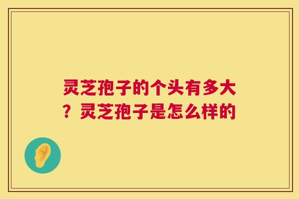 灵芝孢子的个头有多大?灵芝孢子是怎么样的 第1张 灵芝孢子的个头有多大?灵芝孢子是怎么样的 第1张
