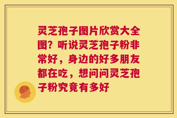 灵芝孢子图片欣赏大全图?听说灵芝孢子粉非常好,身边的好多朋友都在吃,想问问灵芝孢子粉究竟有多好 第1张 灵芝孢子图片欣赏大全图?听说灵芝孢子粉非常好,身边的好多朋友都在吃,想问问灵芝孢子粉究竟有多好 第1张