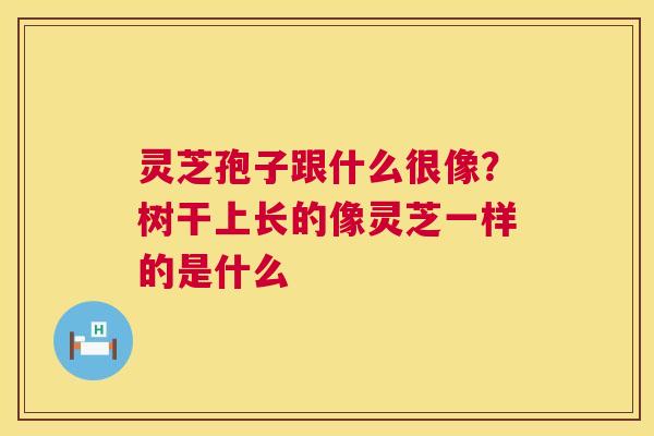 灵芝孢子跟什么很像？树干上长的像灵芝一样的是什么  第1张