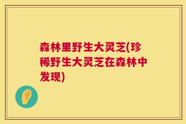 森林里野生大灵芝(珍稀野生大灵芝在森林中发现) 第1张 森林里野生大灵芝(珍稀野生大灵芝在森林中发现) 第1张