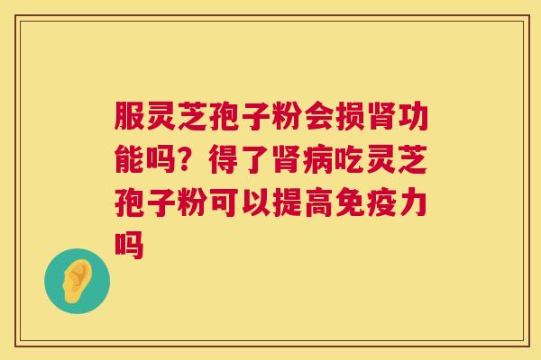 服灵芝孢子粉会损肾功能吗?得了肾病吃灵芝孢子粉可以提高免疫力吗 第1张 服灵芝孢子粉会损肾功能吗?得了肾病吃灵芝孢子粉可以提高免疫力吗 第1张