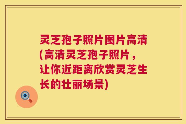 灵芝孢子照片图片高清(高清灵芝孢子照片,让你近距离欣赏灵芝生长的壮丽场景) 第1张 灵芝孢子照片图片高清(高清灵芝孢子照片,让你近距离欣赏灵芝生长的壮丽场景) 第1张