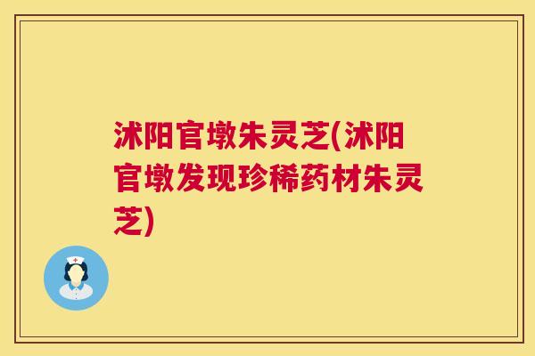 沭阳官墩朱灵芝(沭阳官墩发现珍稀药材朱灵芝) 第1张 沭阳官墩朱灵芝(沭阳官墩发现珍稀药材朱灵芝) 第1张