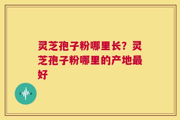 灵芝孢子粉哪里长?灵芝孢子粉哪里的产地最好 第1张 灵芝孢子粉哪里长?灵芝孢子粉哪里的产地最好 第1张