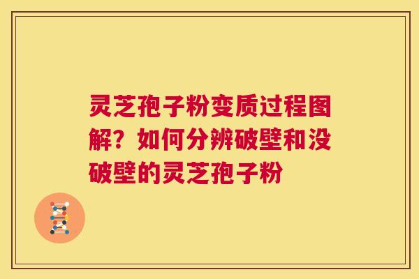 灵芝孢子粉变质过程图解?如何分辨破壁和没破壁的灵芝孢子粉 第1张 灵芝孢子粉变质过程图解?如何分辨破壁和没破壁的灵芝孢子粉 第1张