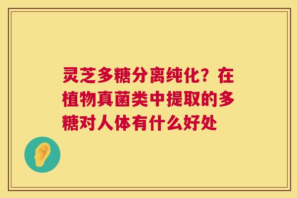 灵芝多糖分离纯化？在植物真菌类中提取的多糖对人体有什么好处  第1张
