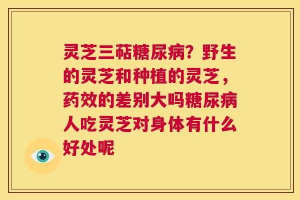 灵芝三萜糖尿病?野生的灵芝和种植的灵芝,药效的差别大吗糖尿病人吃灵芝对身体有什么好处呢 第1张 灵芝三萜糖尿病?野生的灵芝和种植的灵芝,药效的差别大吗糖尿病人吃灵芝对身体有什么好处呢 第1张