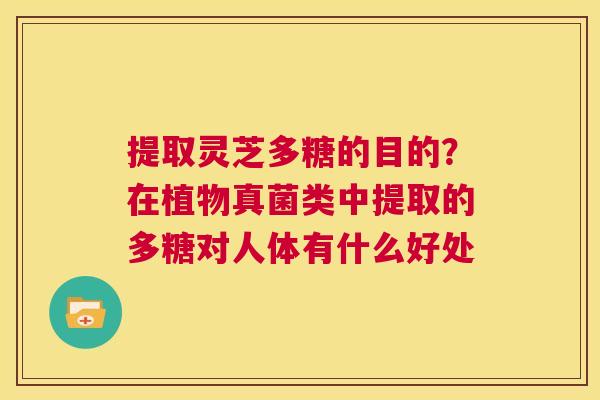 提取灵芝多糖的目的?在植物真菌类中提取的多糖对人体有什么好处 第1张 提取灵芝多糖的目的?在植物真菌类中提取的多糖对人体有什么好处 第1张