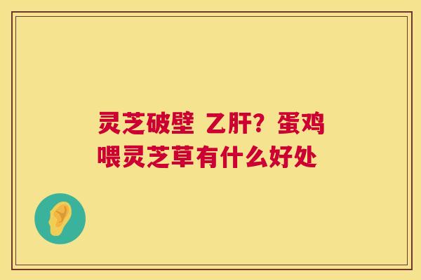 灵芝破壁 乙肝?蛋鸡喂灵芝草有什么好处 第1张 灵芝破壁 乙肝?蛋鸡喂灵芝草有什么好处 第1张