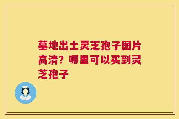 墓地出土灵芝孢子图片高清？哪里可以买到灵芝孢子  第1张