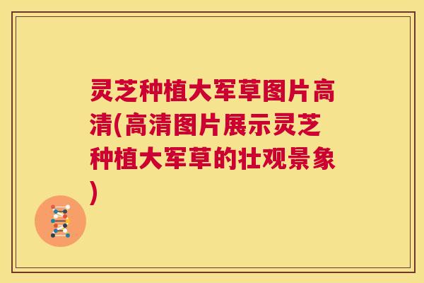 灵芝种植大军草图片高清(高清图片展示灵芝种植大军草的壮观景象)  第1张