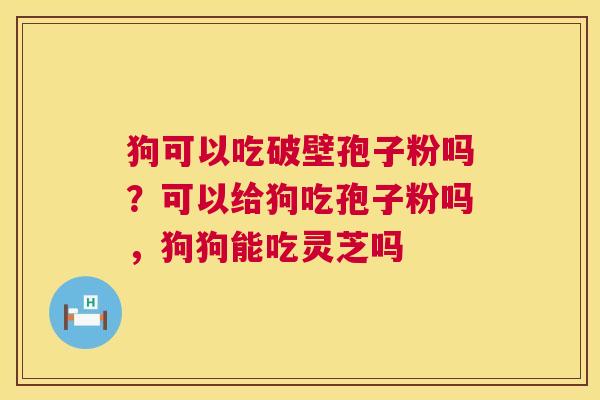 狗可以吃破壁孢子粉吗?可以给狗吃孢子粉吗,狗狗能吃灵芝吗 第1张 狗可以吃破壁孢子粉吗?可以给狗吃孢子粉吗,狗狗能吃灵芝吗 第1张