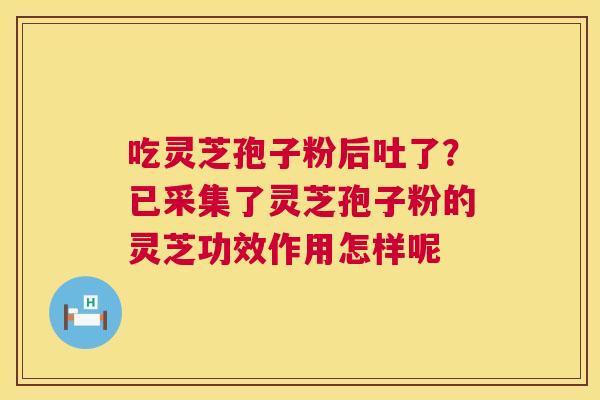 吃灵芝孢子粉后吐了?已采集了灵芝孢子粉的灵芝功效作用怎样呢 第1张 吃灵芝孢子粉后吐了?已采集了灵芝孢子粉的灵芝功效作用怎样呢 第1张