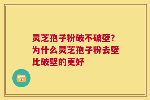 灵芝孢子粉破不破壁?为什么灵芝孢子粉去壁比破壁的更好 第1张 灵芝孢子粉破不破壁?为什么灵芝孢子粉去壁比破壁的更好 第1张