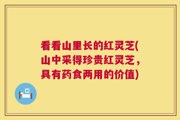 看看山里长的红灵芝(山中采得珍贵红灵芝,具有药食两用的价值) 第1张 看看山里长的红灵芝(山中采得珍贵红灵芝,具有药食两用的价值) 第1张