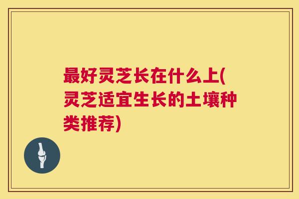 最好灵芝长在什么上(灵芝适宜生长的土壤种类推荐) 第1张 最好灵芝长在什么上(灵芝适宜生长的土壤种类推荐) 第1张