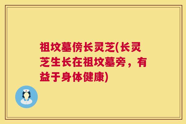 祖坟墓傍长灵芝(长灵芝生长在祖坟墓旁,有益于身体健康) 第1张 祖坟墓傍长灵芝(长灵芝生长在祖坟墓旁,有益于身体健康) 第1张