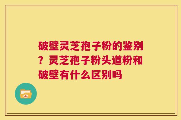 破壁灵芝孢子粉的鉴别？灵芝孢子粉头道粉和破壁有什么区别吗  第1张