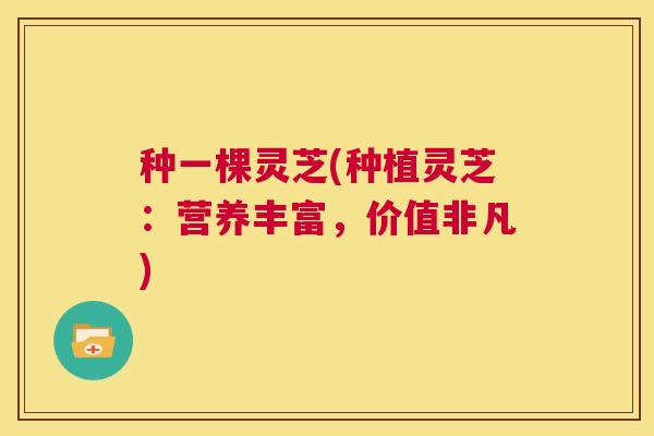种一棵灵芝(种植灵芝:营养丰富,价值非凡) 第1张 种一棵灵芝(种植灵芝:营养丰富,价值非凡) 第1张