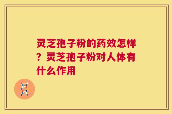 灵芝孢子粉的药效怎样?灵芝孢子粉对人体有什么作用 第1张 灵芝孢子粉的药效怎样?灵芝孢子粉对人体有什么作用 第1张