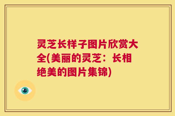 灵芝长样子图片欣赏大全(美丽的灵芝:长相绝美的图片集锦) 第1张 灵芝长样子图片欣赏大全(美丽的灵芝:长相绝美的图片集锦) 第1张