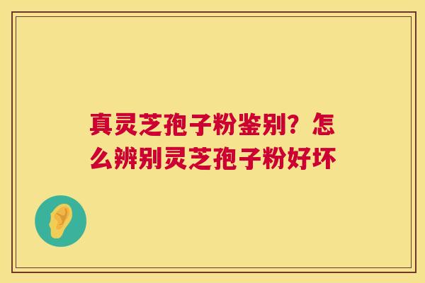 真灵芝孢子粉鉴别?怎么辨别灵芝孢子粉好坏 第1张 真灵芝孢子粉鉴别?怎么辨别灵芝孢子粉好坏 第1张