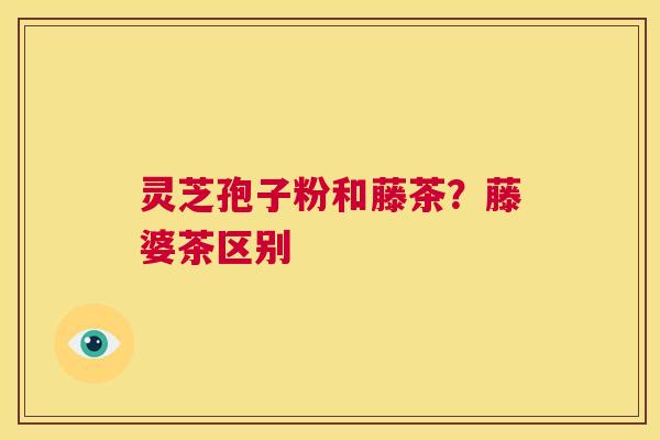 灵芝孢子粉和藤茶？藤婆茶区别  第1张