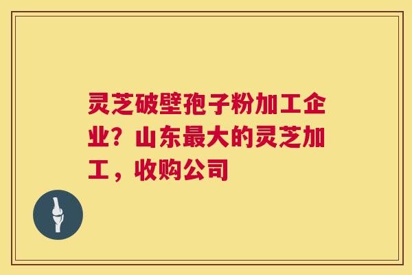 灵芝破壁孢子粉加工企业?山东最大的灵芝加工,收购公司 第1张 灵芝破壁孢子粉加工企业?山东最大的灵芝加工,收购公司 第1张