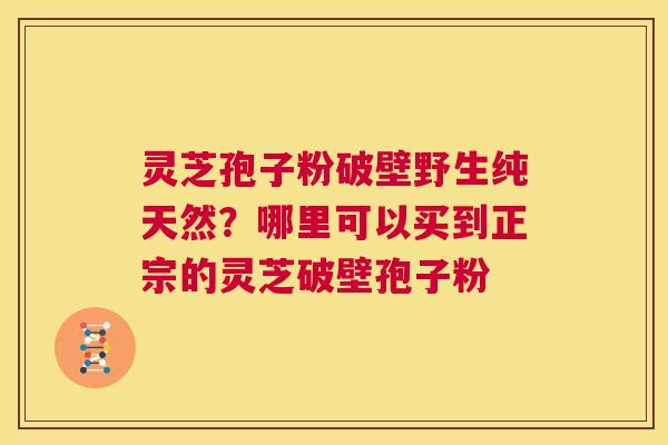 灵芝孢子粉破壁野生纯天然?哪里可以买到正宗的灵芝破壁孢子粉 第1张 灵芝孢子粉破壁野生纯天然?哪里可以买到正宗的灵芝破壁孢子粉 第1张