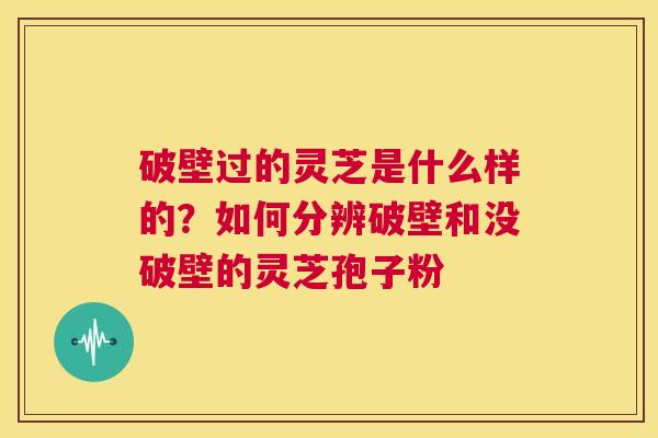 破壁过的灵芝是什么样的？如何分辨破壁和没破壁的灵芝孢子粉  第1张
