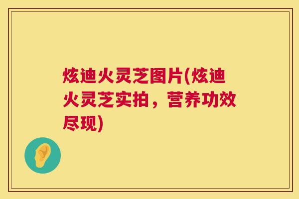 炫迪火灵芝图片(炫迪火灵芝实拍,营养功效尽现) 第1张 炫迪火灵芝图片(炫迪火灵芝实拍,营养功效尽现) 第1张