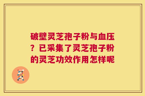破壁灵芝孢子粉与血压?已采集了灵芝孢子粉的灵芝功效作用怎样呢 第1张 破壁灵芝孢子粉与血压?已采集了灵芝孢子粉的灵芝功效作用怎样呢 第1张