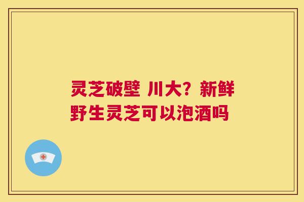 灵芝破壁 川大?新鲜野生灵芝可以泡酒吗 第1张 灵芝破壁 川大?新鲜野生灵芝可以泡酒吗 第1张