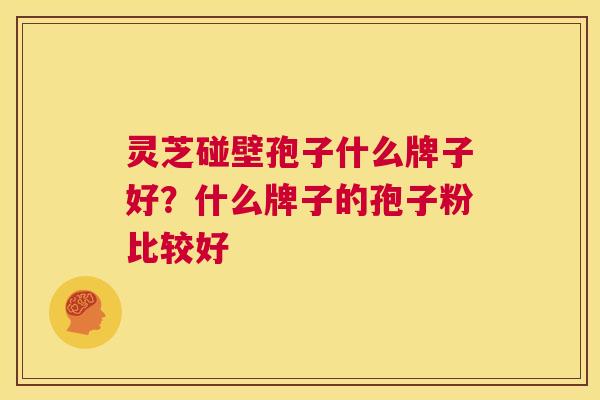 灵芝碰壁孢子什么牌子好?什么牌子的孢子粉比较好 第1张 灵芝碰壁孢子什么牌子好?什么牌子的孢子粉比较好 第1张
