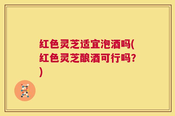 红色灵芝适宜泡酒吗(红色灵芝酿酒可行吗？)  第1张