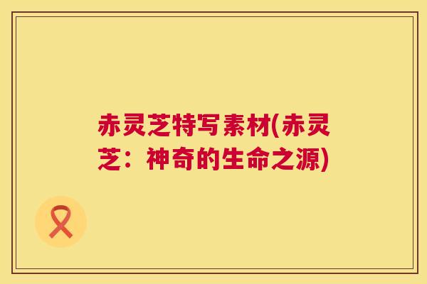 赤灵芝特写素材(赤灵芝:神奇的生命之源) 第1张 赤灵芝特写素材(赤灵芝:神奇的生命之源) 第1张