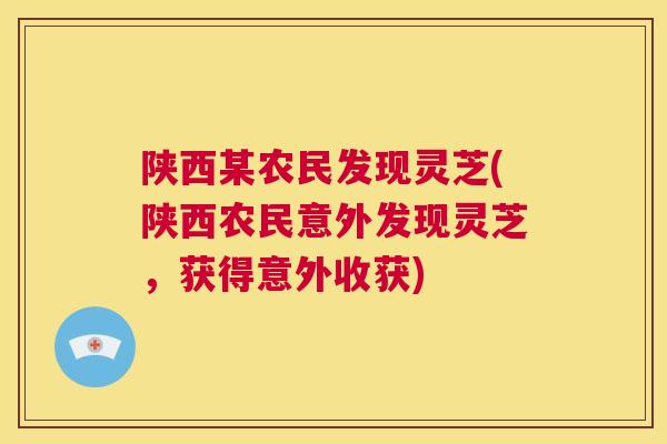 陕西某农民发现灵芝(陕西农民意外发现灵芝,获得意外收获) 第1张 陕西某农民发现灵芝(陕西农民意外发现灵芝,获得意外收获) 第1张
