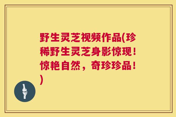 野生灵芝视频作品(珍稀野生灵芝身影惊现!惊艳自然,奇珍珍品!) 第1张 野生灵芝视频作品(珍稀野生灵芝身影惊现!惊艳自然,奇珍珍品!) 第1张
