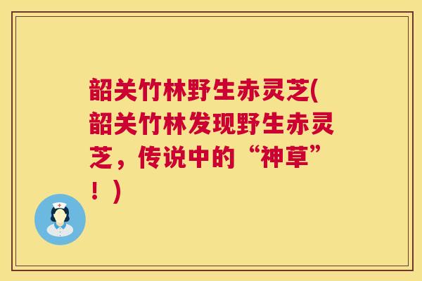 韶关竹林野生赤灵芝(韶关竹林发现野生赤灵芝,传说中的“神草”!) 第1张 韶关竹林野生赤灵芝(韶关竹林发现野生赤灵芝,传说中的“神草”!) 第1张