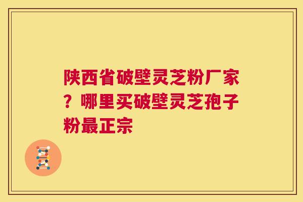 陕西省破壁灵芝粉厂家？哪里买破壁灵芝孢子粉最正宗  第1张