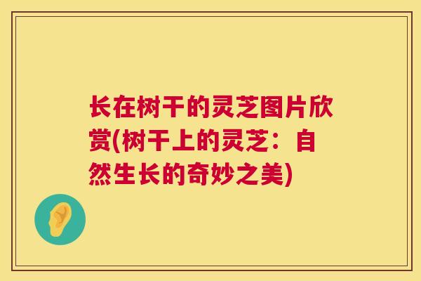 长在树干的灵芝图片欣赏(树干上的灵芝:自然生长的奇妙之美) 第1张 长在树干的灵芝图片欣赏(树干上的灵芝:自然生长的奇妙之美) 第1张