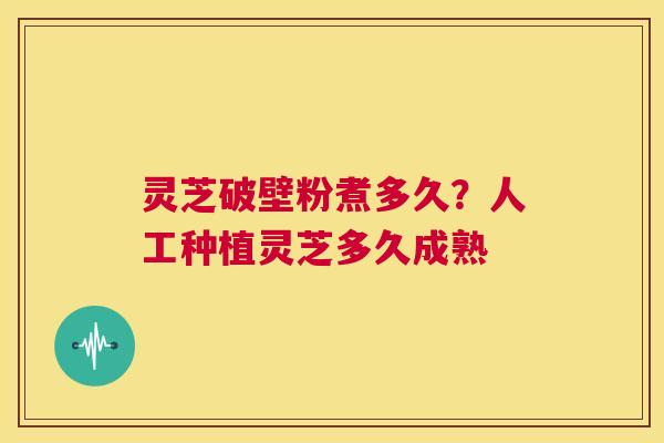 灵芝破壁粉煮多久?人工种植灵芝多久成熟 第1张 灵芝破壁粉煮多久?人工种植灵芝多久成熟 第1张
