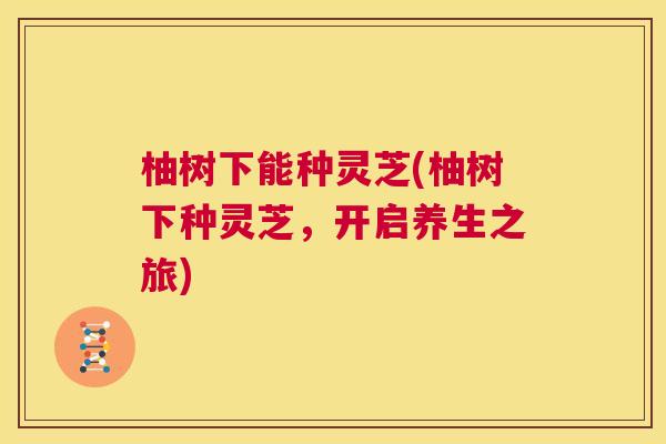 柚树下能种灵芝(柚树下种灵芝,开启养生之旅) 第1张 柚树下能种灵芝(柚树下种灵芝,开启养生之旅) 第1张