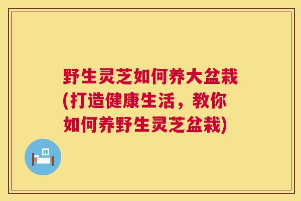 野生灵芝如何养大盆栽(打造健康生活,教你如何养野生灵芝盆栽) 第1张 野生灵芝如何养大盆栽(打造健康生活,教你如何养野生灵芝盆栽) 第1张
