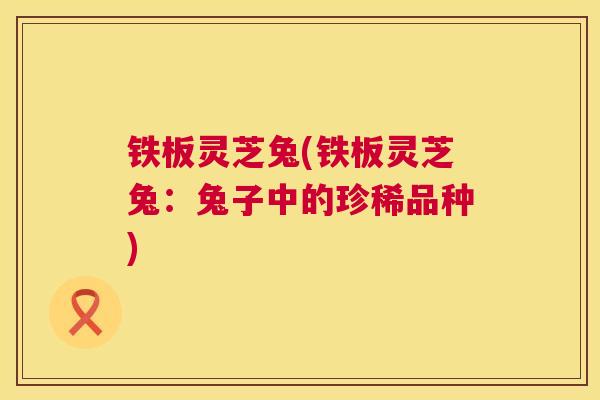 铁板灵芝兔(铁板灵芝兔:兔子中的珍稀品种) 第1张 铁板灵芝兔(铁板灵芝兔:兔子中的珍稀品种) 第1张
